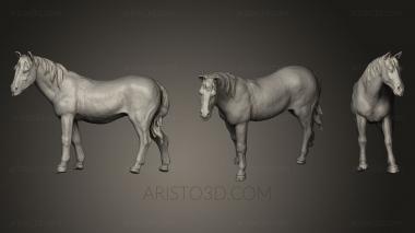 Animal figurines (STKJ_0394) 3D model for CNC machine